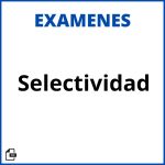 Exámenes Selectividad Pdf Resueltos Soluciones