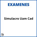 Examen Simulacro Uam Cad Soluciones Resueltos