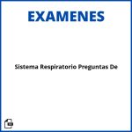 Sistema Respiratorio Preguntas De Examen Soluciones Resueltos