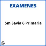 Sm Savia Evaluaciones 6 Primaria Resueltos Soluciones