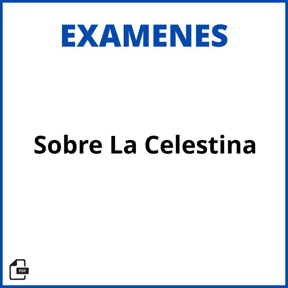 Examen Sobre La Celestina