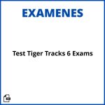 Test Tiger Tracks 6 Exams Soluciones Resueltos