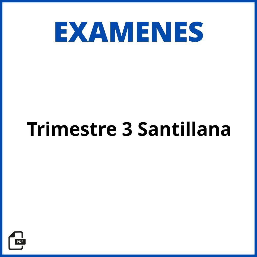 Evaluacion Trimestre 3 Santillana Respuestas