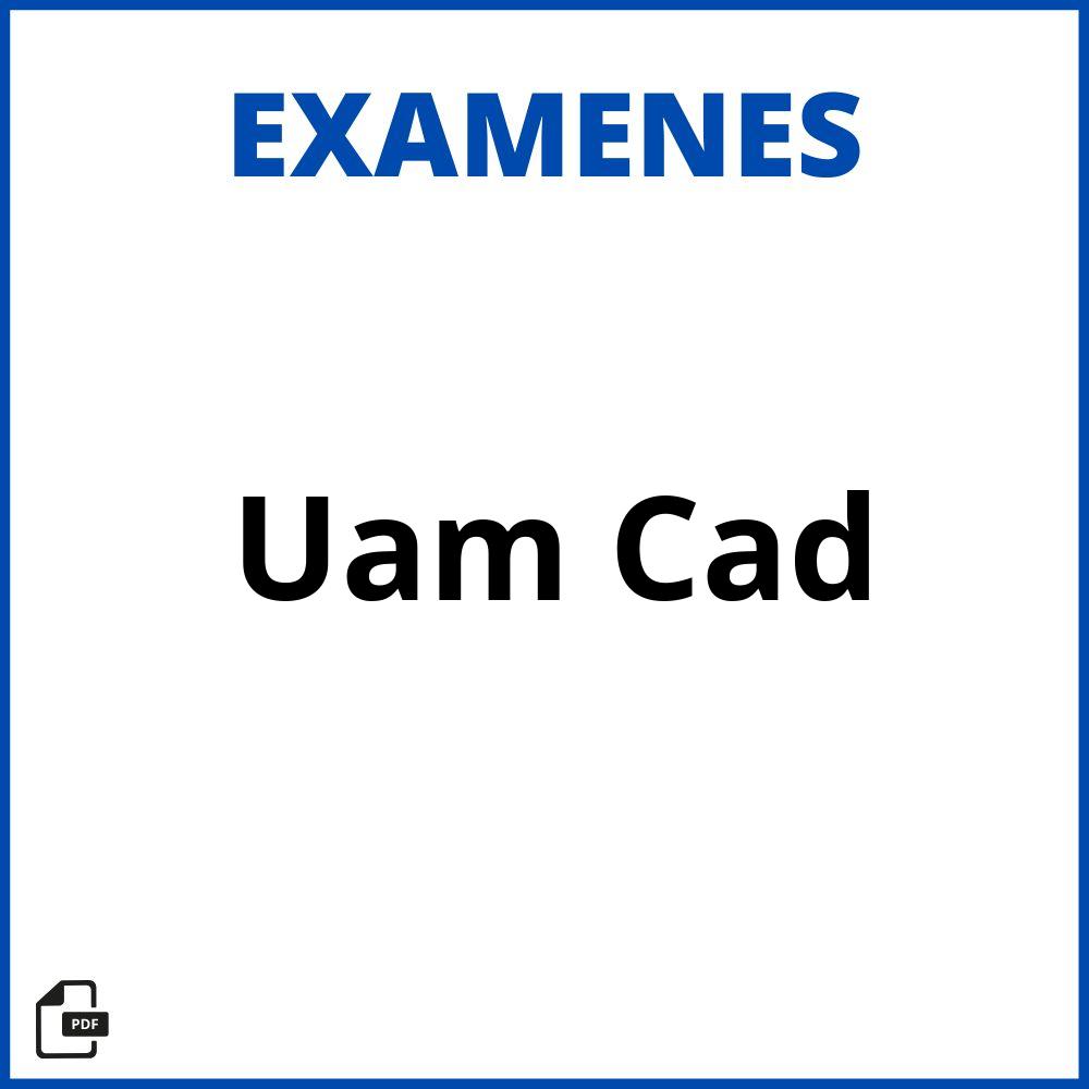 Examen Uam Cad