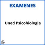 Examen Uned Psicobiologia Soluciones Resueltos